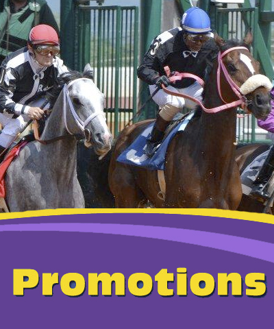 Promo Page Pic